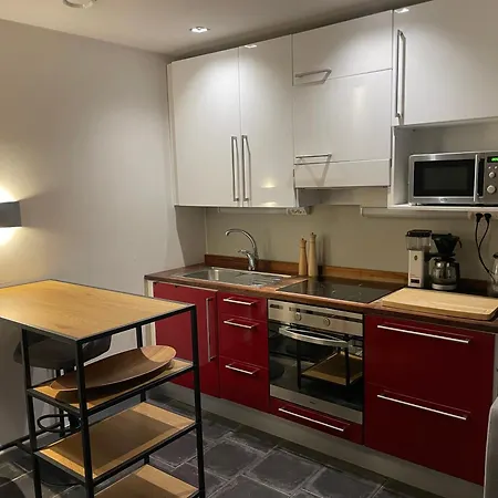 Kasarminranta 30m2 Saunallinen Yksioe * Villmanstrand